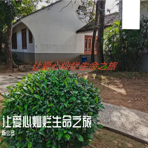 让爱心灿烂生命之旅