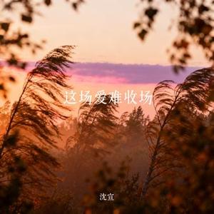 这场爱难收场