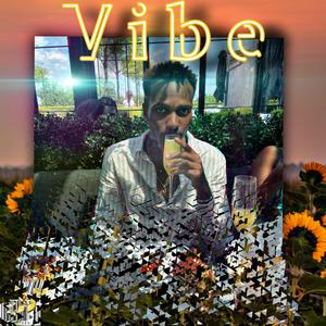 Vibe