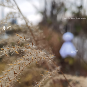 步行 (feat. 初音ミク)