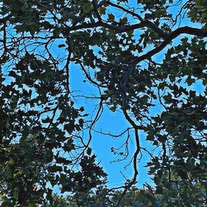 idontlikeme (feat. rarecandy)