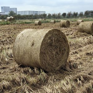 生物质的涅槃之歌