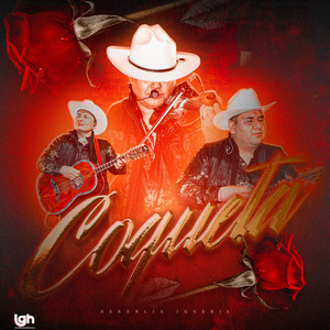 Coqueta