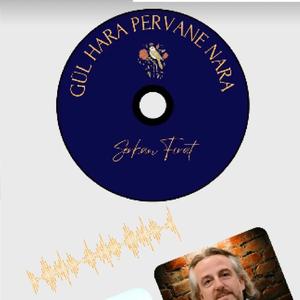 GELMESİN (SERKAN Fırat'ın şiirinden)