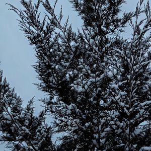 得不到的永远最好的