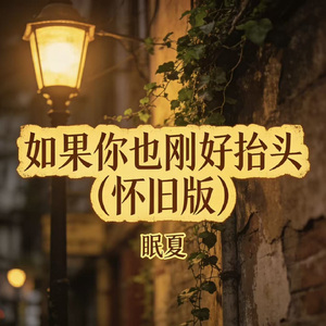 如果你也刚好抬头（怀旧版）