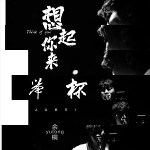 想起了你 举杯