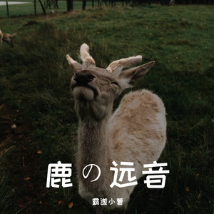 鹿の远音.6