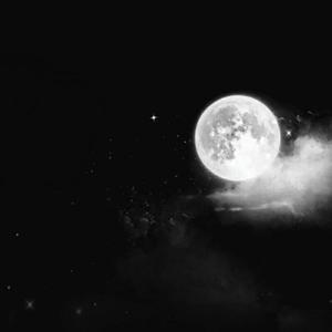 白天不懂夜的黑