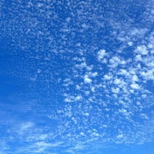 1000x (Klein EDM Club Version)