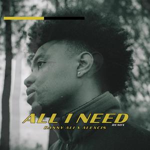 all i need (feat. Alexcis) (Remix)