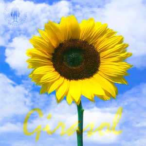 Girasol