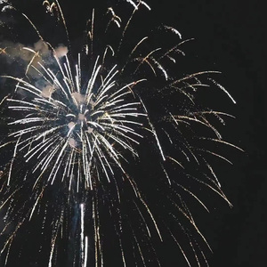 如愿（Cover 王菲）