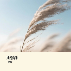 风过流年