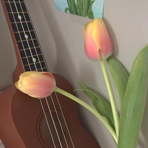 人生总会有遗憾