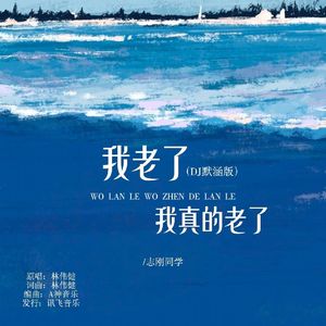 我老了我真的老了(DJ版)