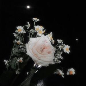 氟西汀（prod by FRESH_ye)