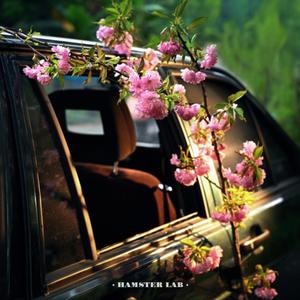 路漫漫 情依依 Endless Roads Everlasting Hearts