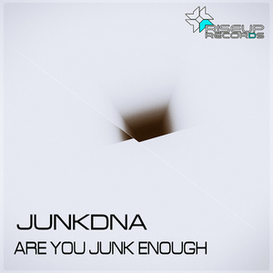 Are You Junk Enough (Original Mix)
