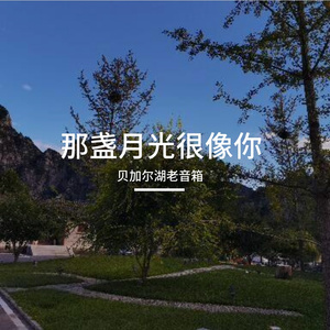 那盏月光很像你