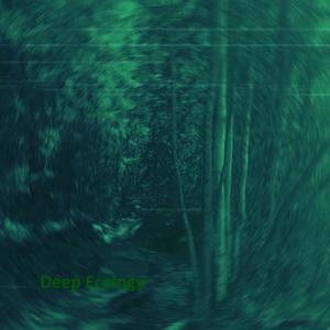 Deep Ecology