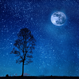 감성을 채워주는 행복의 멜로디