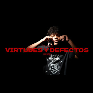 Virtudes y Defectos