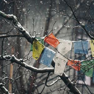 【FREE】“隆”丿Trap Beat