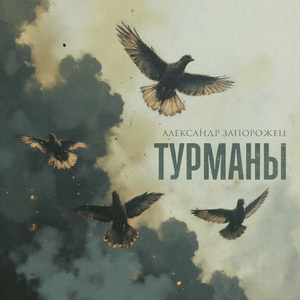 Турманы