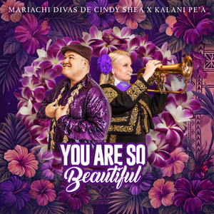 You Are So Beautiful