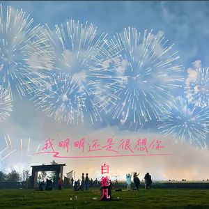 我明明还是很想你