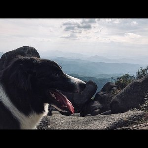 如果有一天我死了，请远离我 (念白版)