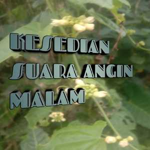 Kesedian suara angin malam