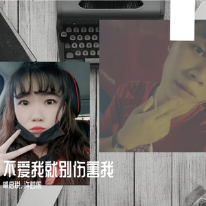 戚启锐 - 叶问宗师（翻自 交通国）