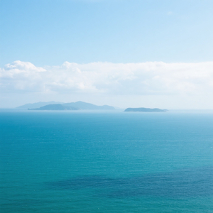 Riang Lagu Membawa Hutan