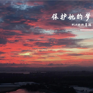 保护她的梦