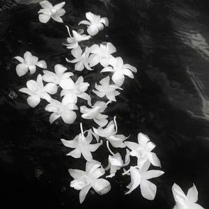 我（Prod By Ljx Ghost）