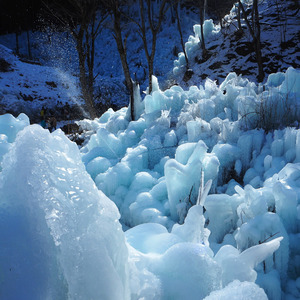 2人の愛おしいクリスマス