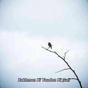 Zakhmon Ki Yaadon Ki Gali