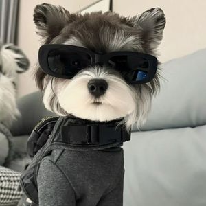 身骑白马（说唱版）