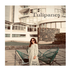 Tulipanes