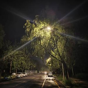 河北彩❀（prod.youngmarkin&blueroomboy)