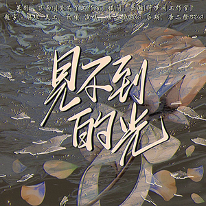 见不到的光【反校园暴力主题（填翻：负一万斤重长大/太一/胡彦斌&希林娜依高（live版）】）