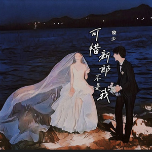 可惜新郎不是我