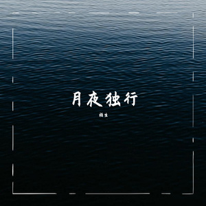 月夜独行