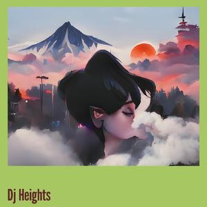 Dj Heights
