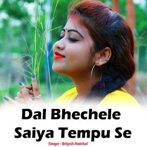 Dal Bhechele Saiya Tempu Se