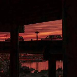 认真的雪（抖音版）