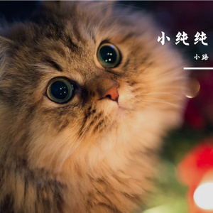 纯纯