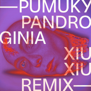 Pandroginia (Xiu Xiu Remix)